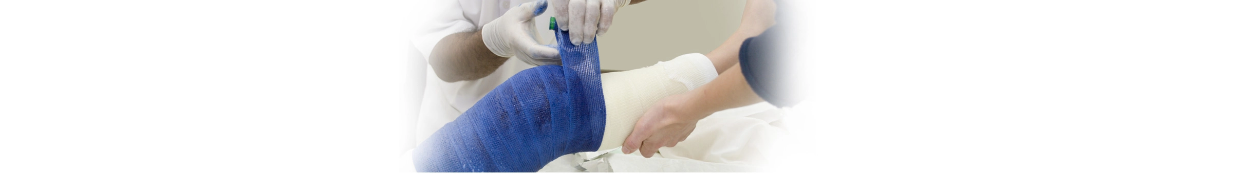 Header General Ortho